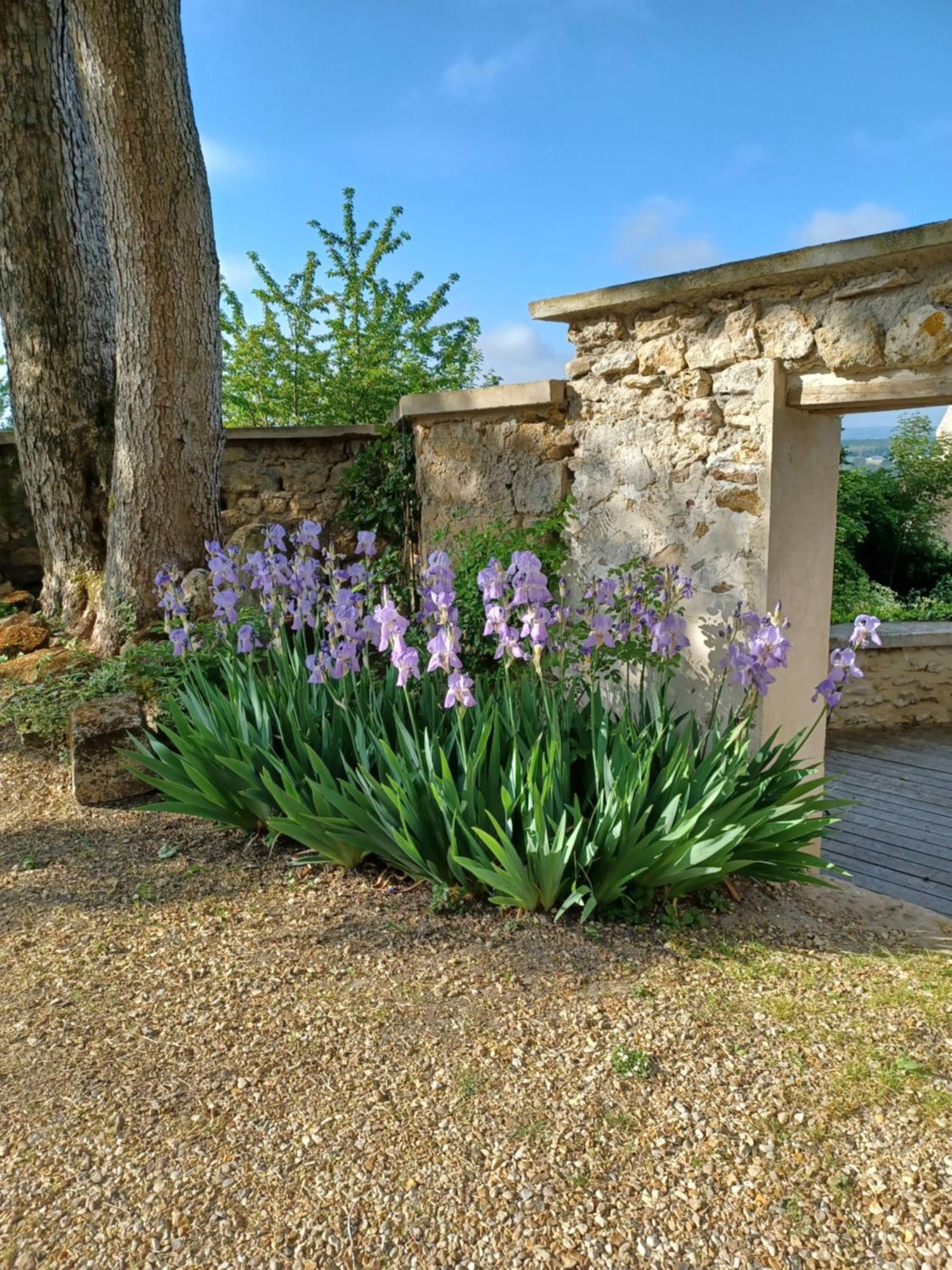 Le Verger Vaux-Sur-Seine ภายนอก รูปภาพ